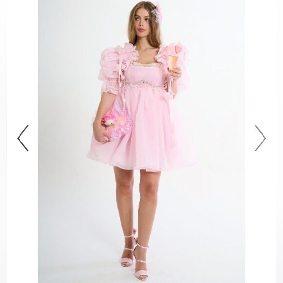 NWT Selkie THE BALLERINA SUGARFRILL DRESS Pink Medium - Picture 11 of 14